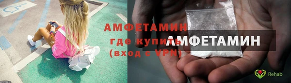 PSILOCYBIN Козловка