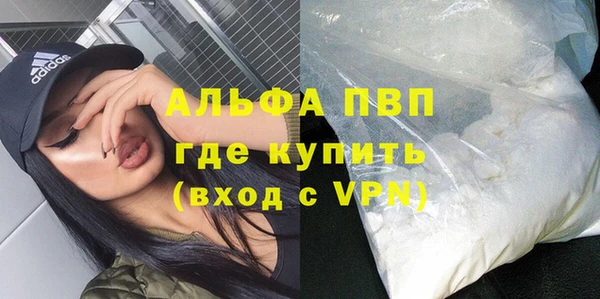 PSILOCYBIN Козловка