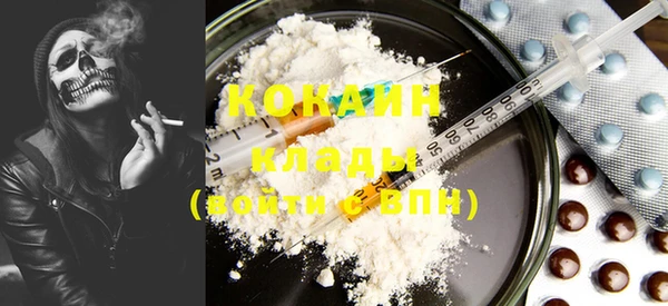 PSILOCYBIN Козловка