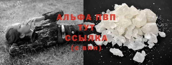 PSILOCYBIN Козловка