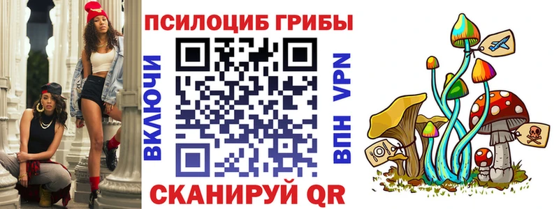 MEGA ТОР  Шацк  Псилоцибиновые грибы мухоморы  что такое  